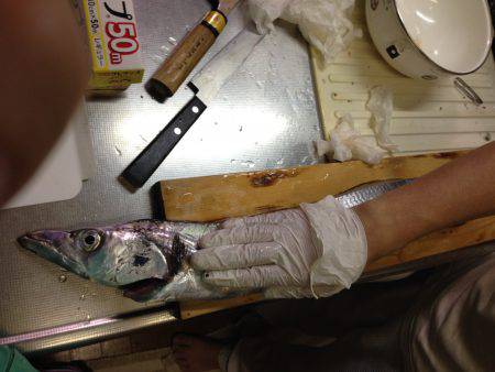 また引き釣りでドラゴン